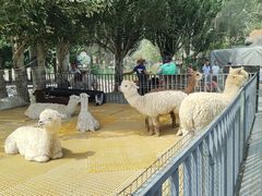 -新疆天山野生动物园