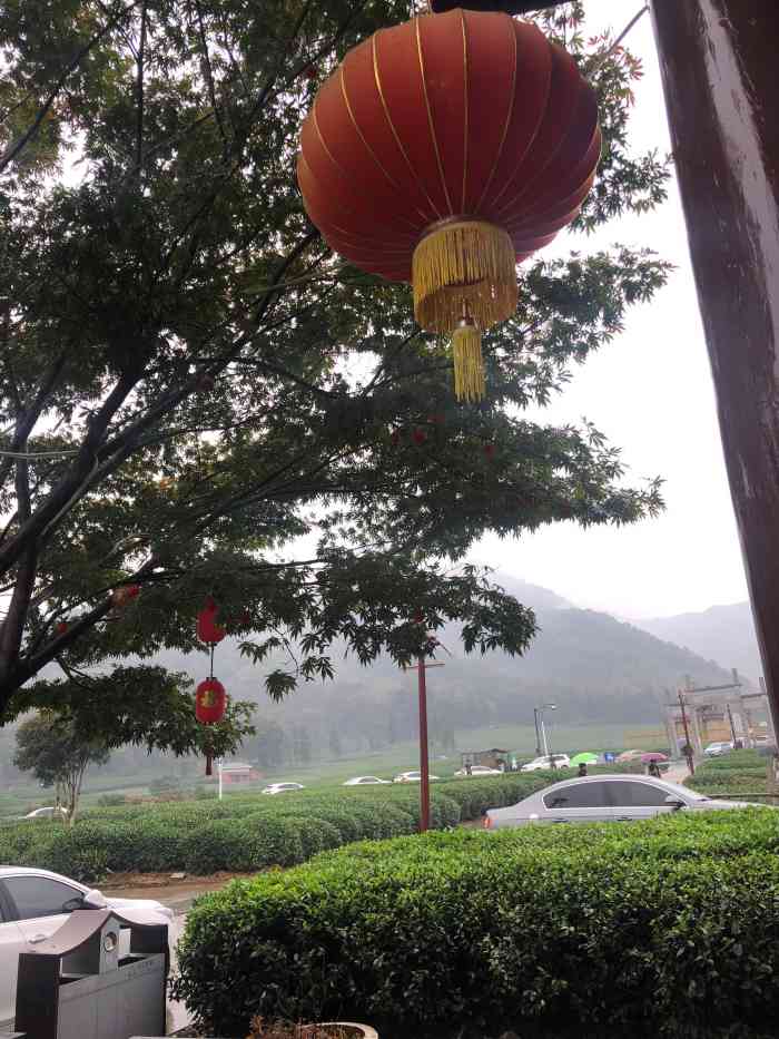 茶之语(龙坞茶村店)-"比较差的农家乐,位置尚可,菜量小得可怜,.