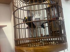 -老白家面馆(测绘东路总店)