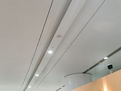 -麦当劳(北京大兴机场二层国内到达(安检外)店)