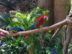 -杭州开元森泊度假乐园