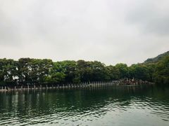 -白马涧龙池景区