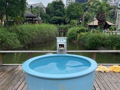 -咸宁温泉谷大酒店