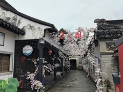 -中山詹园