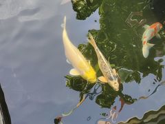 -西安市广仁寺