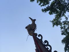 -龙泉洞(沙坪坝区)