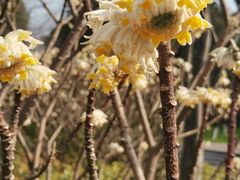 -尚贤河湿地