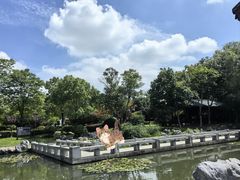 -金银湖国家城市湿地公园