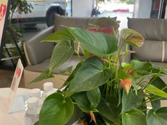 -车友必成·3M汽车贴膜/隐形车衣/改色膜(成都店)