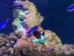 -海合安武汉极地海洋公园