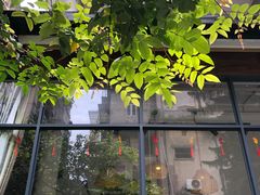 -微饮cafe