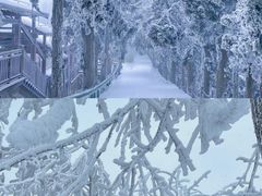 -西岭雪山大飞水景区