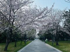 -蠡湖大桥公园