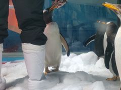 -苏州海洋馆