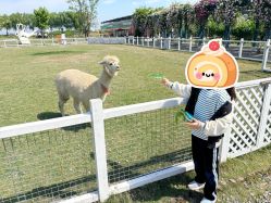 -太湖雪蚕桑文化园