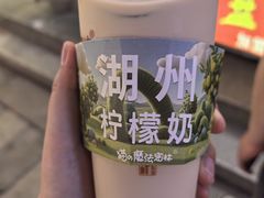 -猫的魔法密林(衣裳街店)