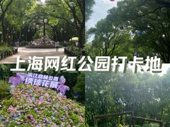 -上海共青森林公园