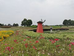 -苏州湾体育公园