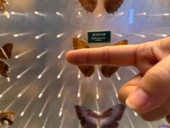 -陕西自然博物馆