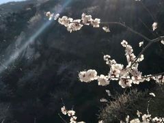 -北京凤凰岭