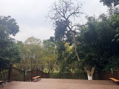 -张坝桂圆林公园