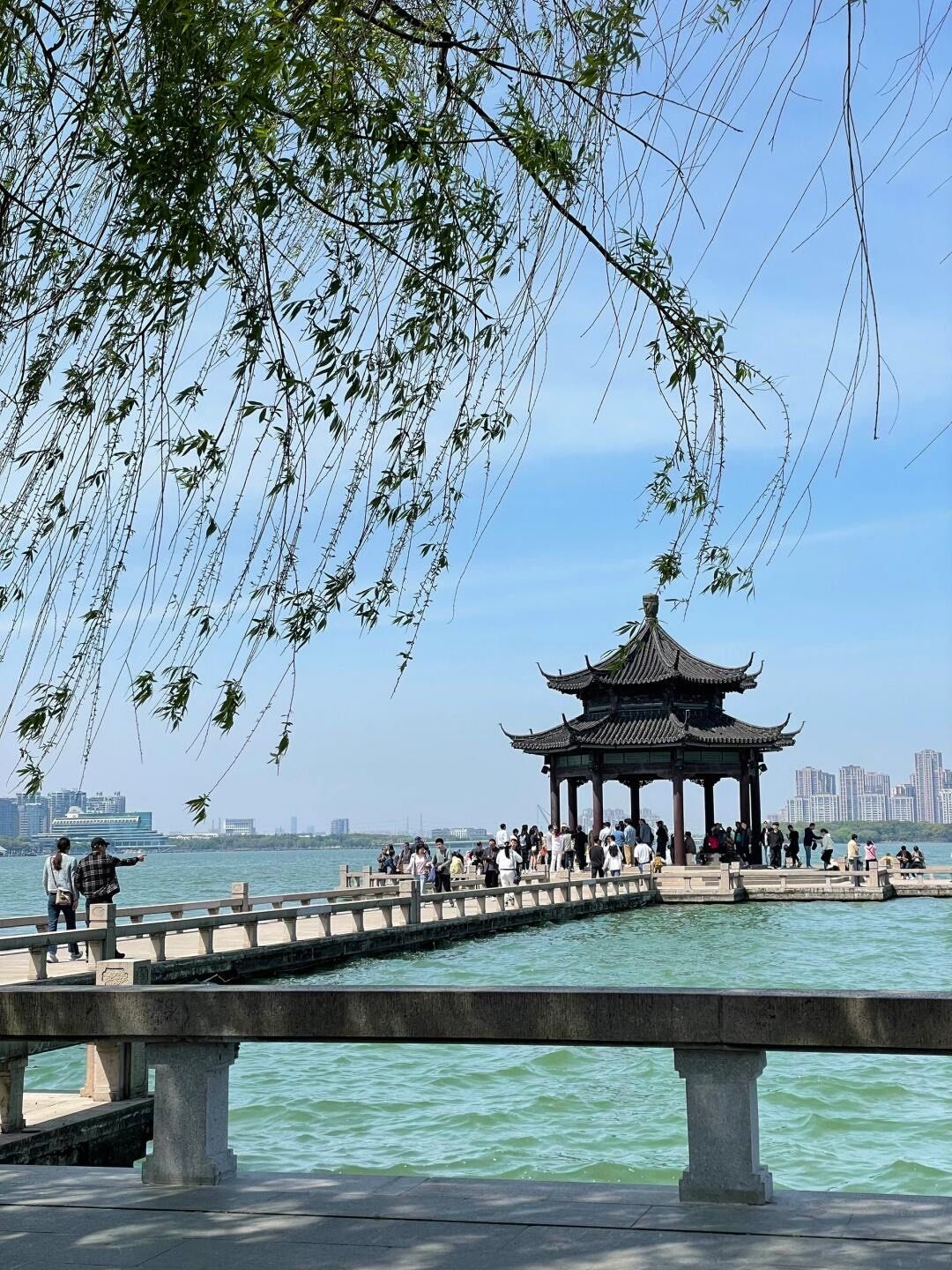 苏州李公堤 | 邂逅江南水乡的浪漫6015