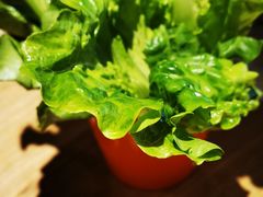 -虾满堂小龙虾烧烤(富荟广场店)