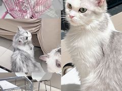 -怪兽屋·羊驼·猫咖·狗咖(俊华广场店)