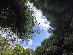-海口火山口国家地质公园