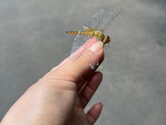 -黑龙江省森林植物园