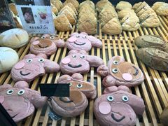 -法莱索尔(奥莱店)