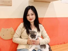-喜柴咖啡·柴犬狗咖