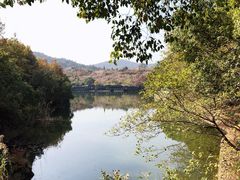 -白马涧龙池景区