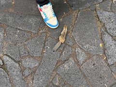 -汤旺河林海奇石景区