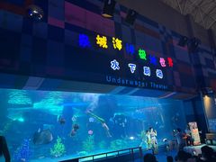 -泉城欧乐堡海洋极地世界