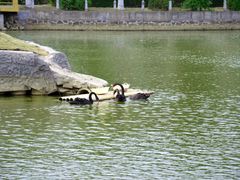 -哈尔滨师范大学(松北校区)