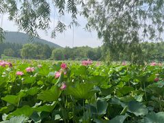 -云龙湖旅游景区