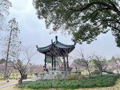 -无锡梅园公园