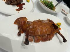 -圆苑(静安寺店)