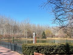 -仁和公园(顺义区)