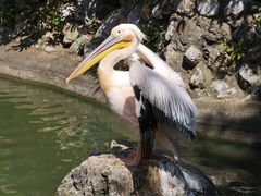 -昆明动物园