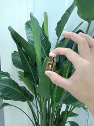 -SKIN79皮肤管理中心