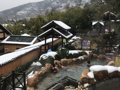 -崇阳三特浪口温泉