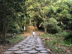 -广州市石门国家森林公园