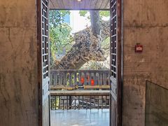 -星巴克(福州三坊七巷店)