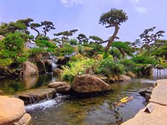 -罗红摄影艺术馆