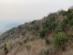 -鬼笑石后山停车场