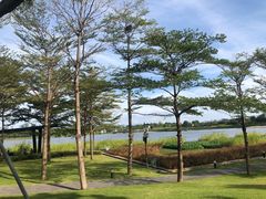 -深圳人才公园