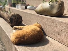 -曾福兴