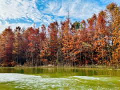 -上海海湾国家森林公园